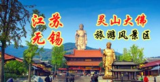 想插鸡吧网站啪江苏无锡灵山大佛旅游风景区